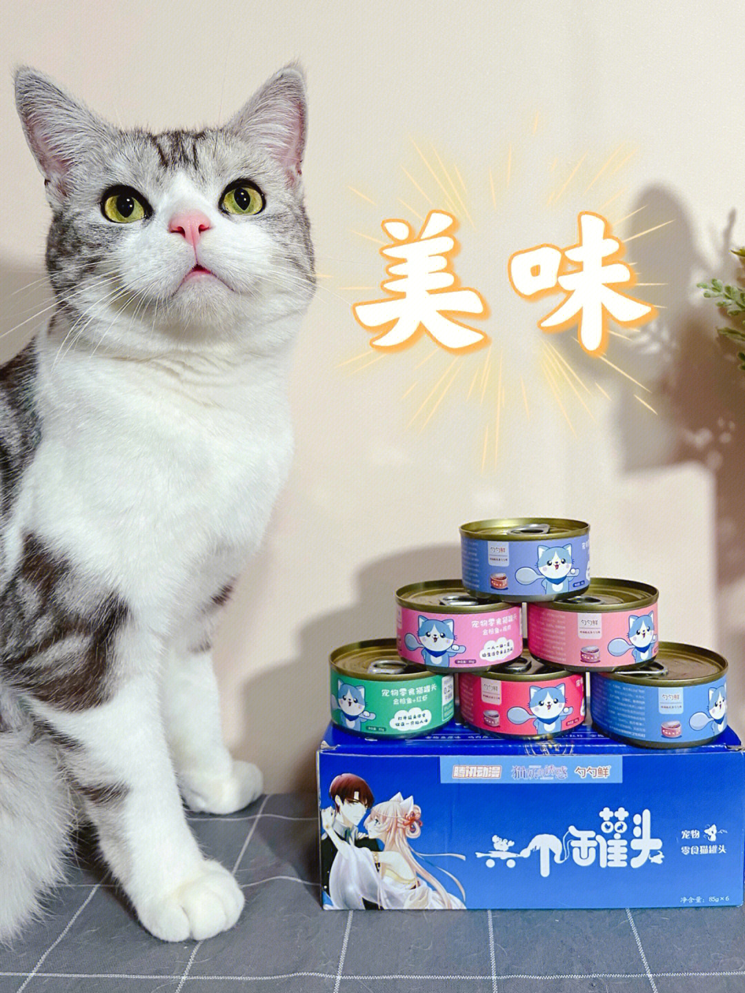 猫友聚会小饼干收到了礼物哈哈