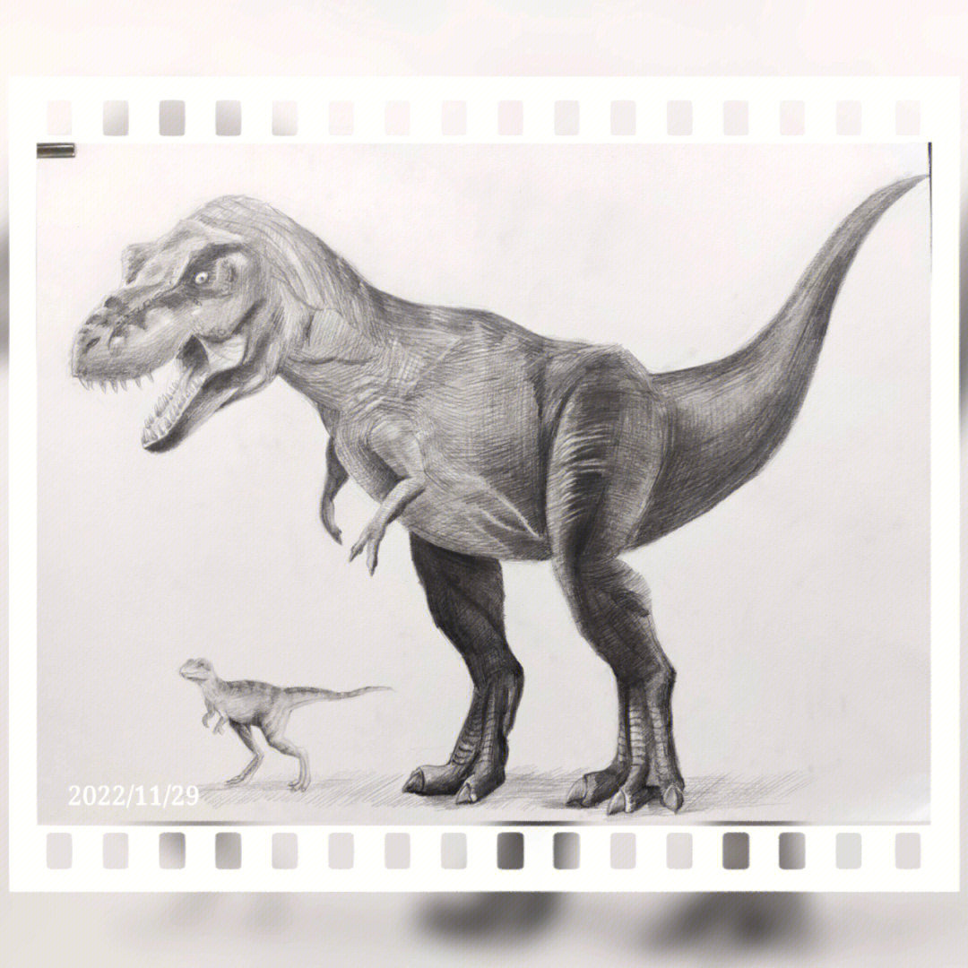 恐龙怎么画素描霸王龙图片