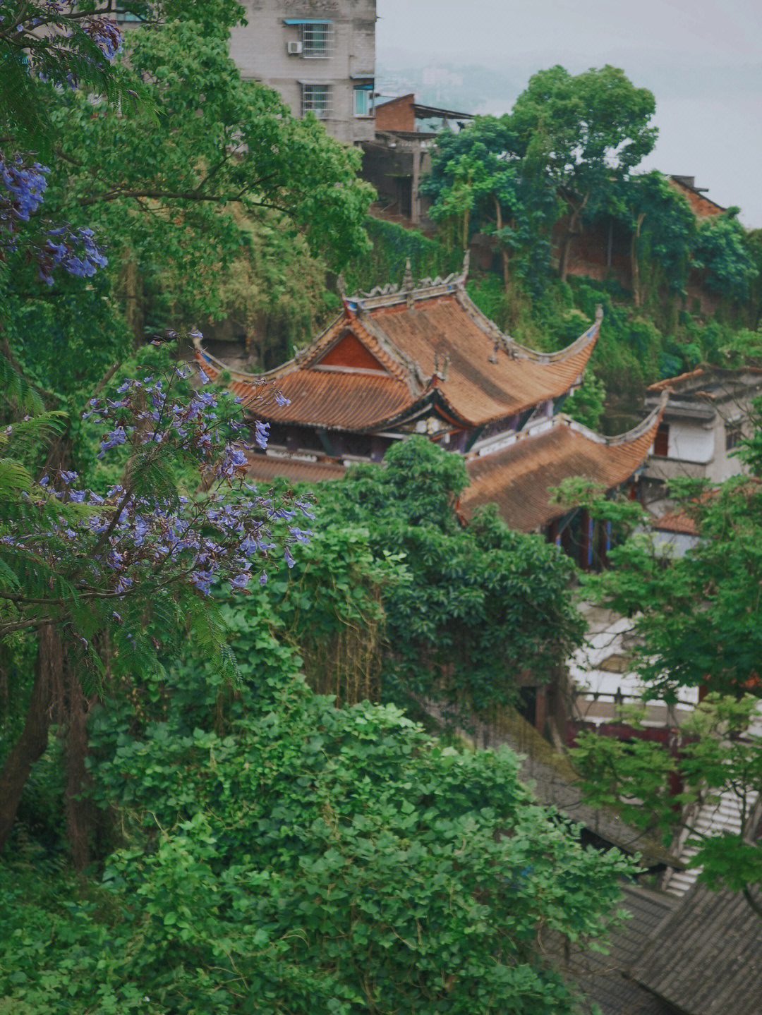 边走边拍白沙古镇流水寺