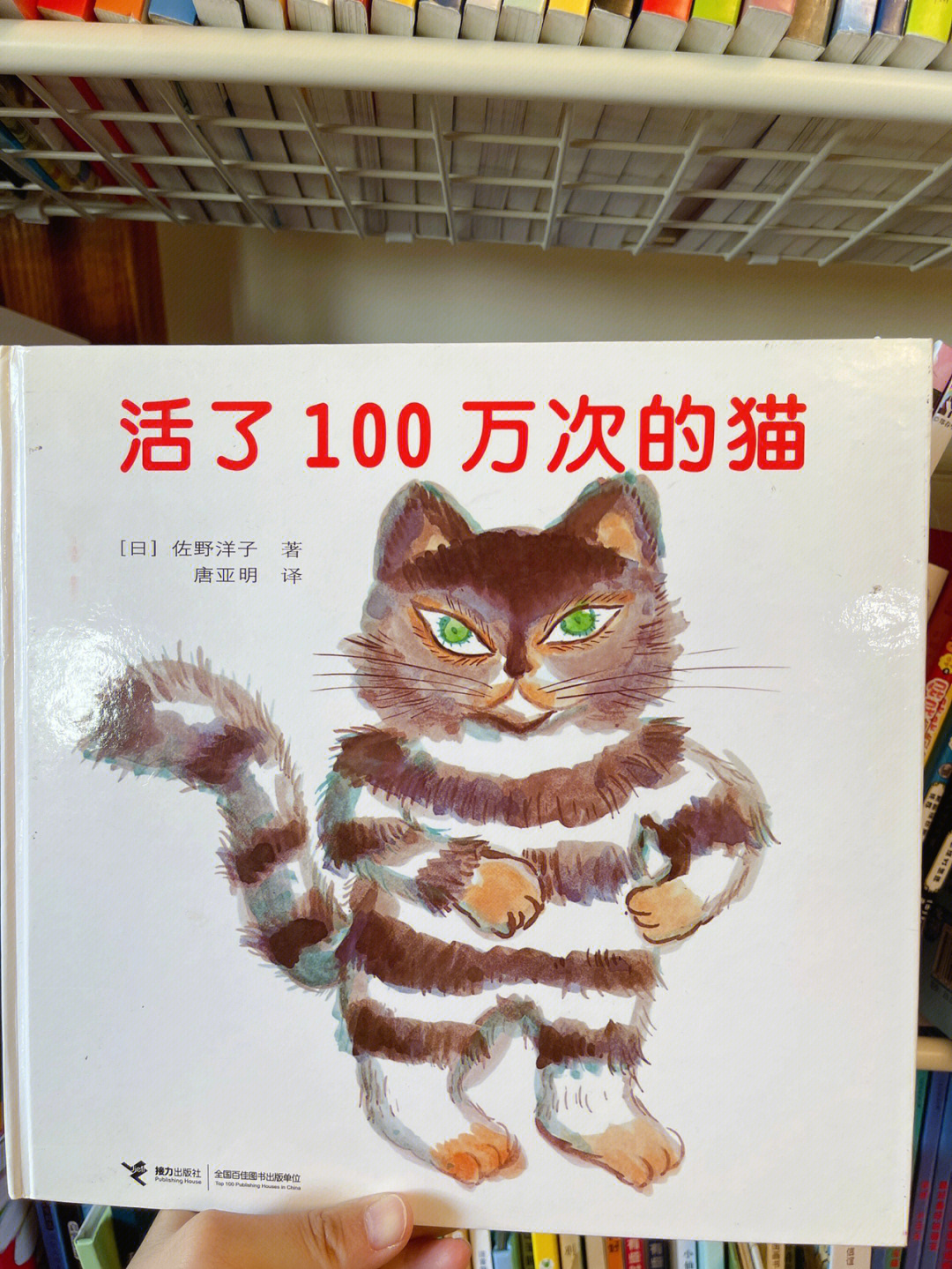 活了100万次的猫