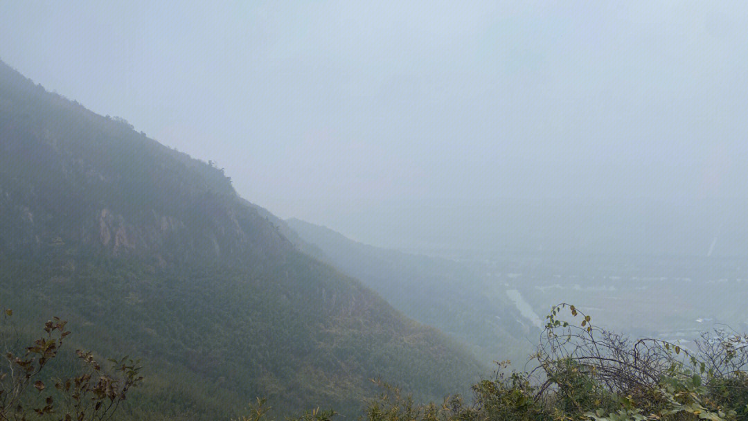 周六的圌山,满是大雾,一千二百级的楼梯,就可以发朋友圈呐,不需要门票