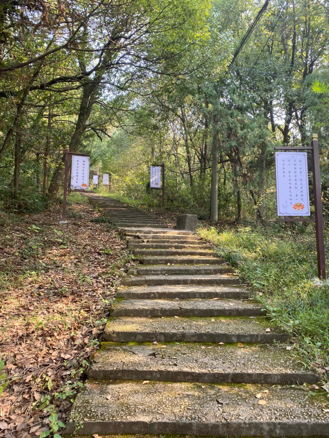 萧山老虎洞山图片