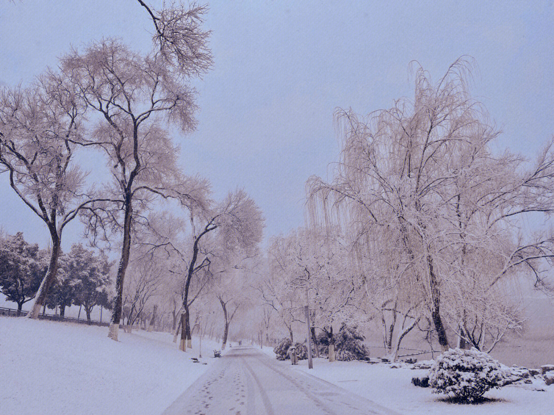 秣陵雪图片