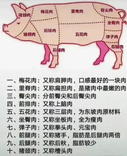 猪肉分类全身图片