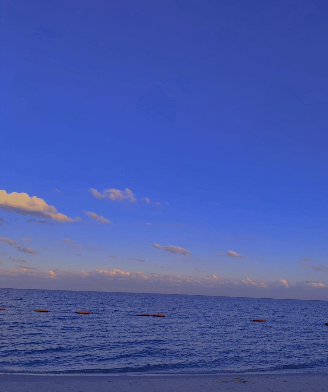 喜欢的海是蓝天的颜色