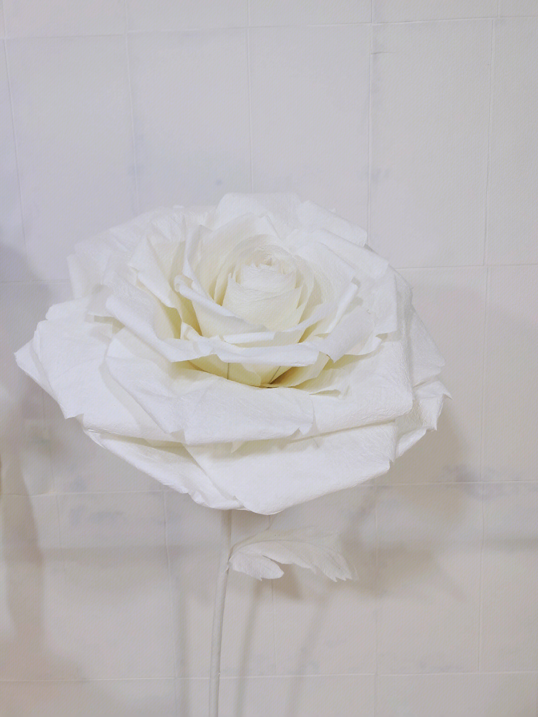 折纸的白叔pt玫瑰图片