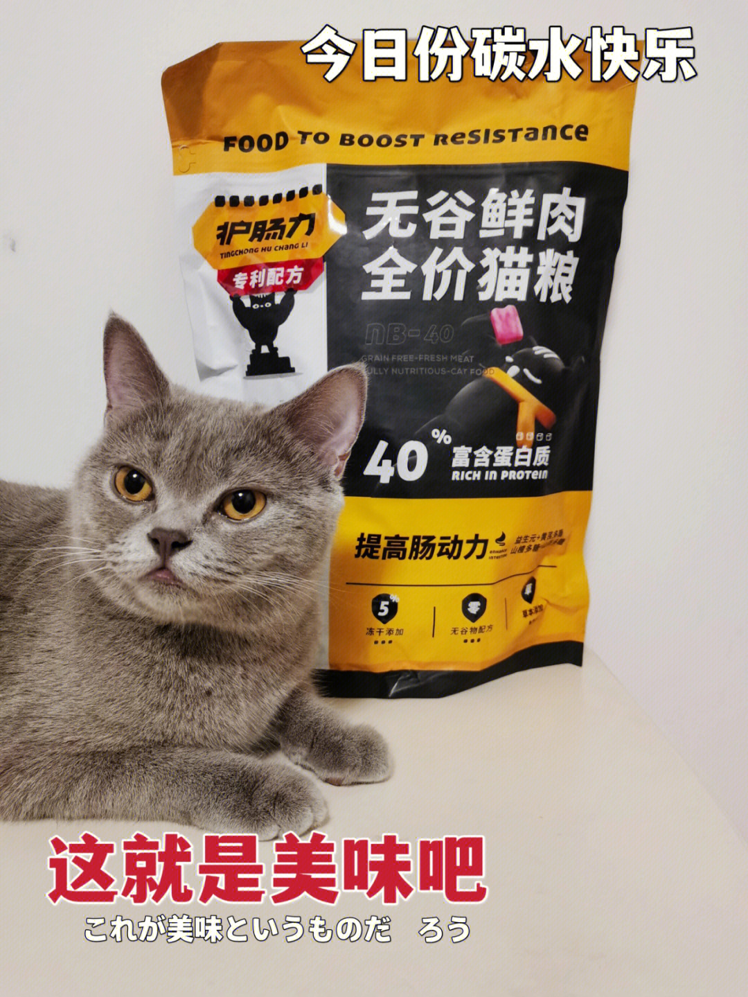 改善猫咪肠胃的猫粮要试试吗