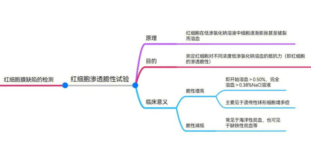 实验诊断学思维导图图片