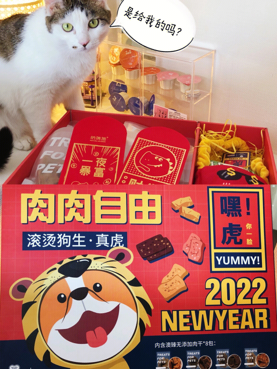 新春宠物装备礼盒图片
