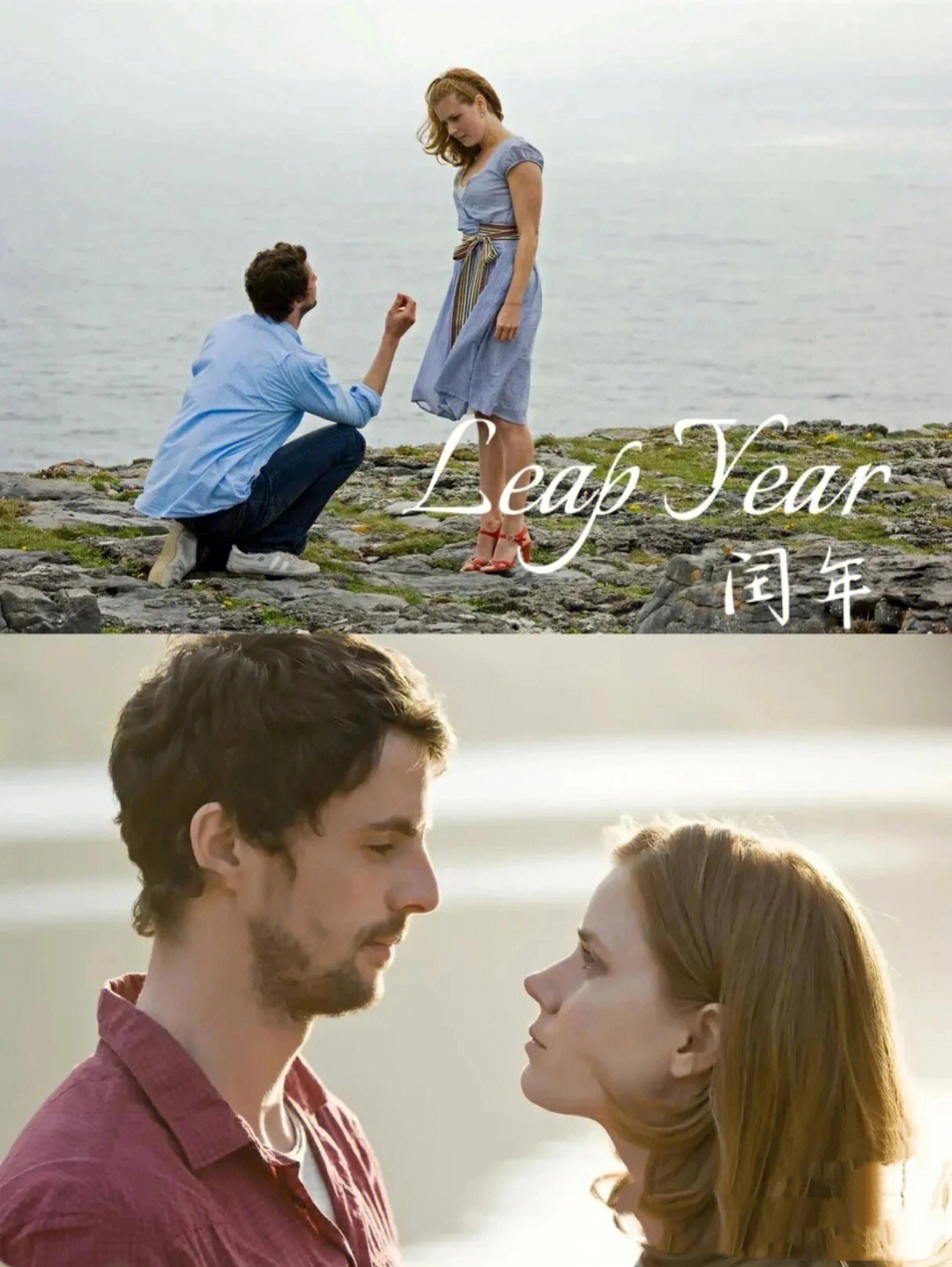 leapyear电影图片