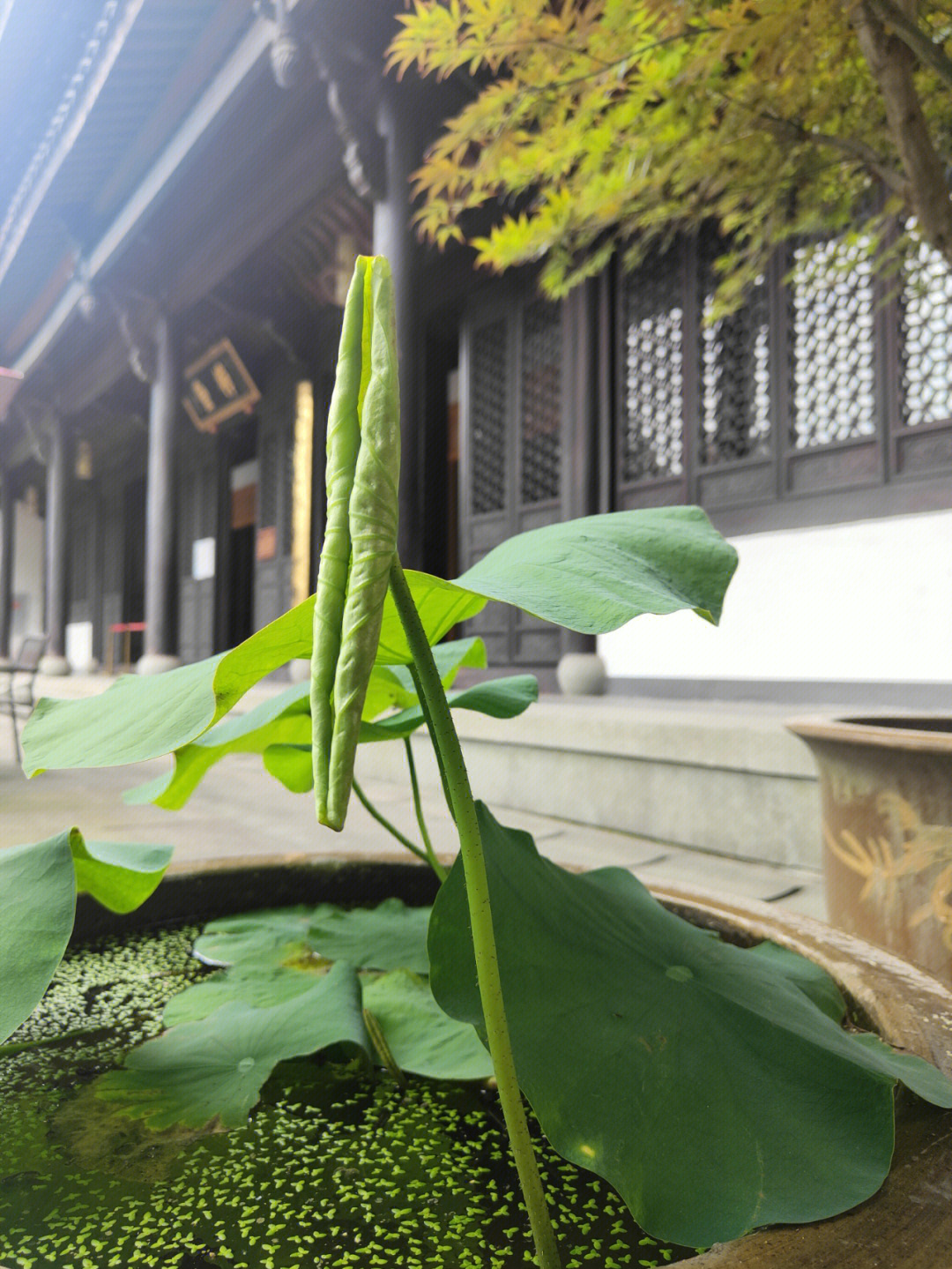 唐山玉田般若寺图片图片