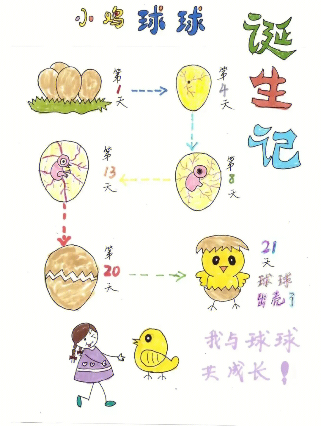 绘本蛋宝宝活动过程图片