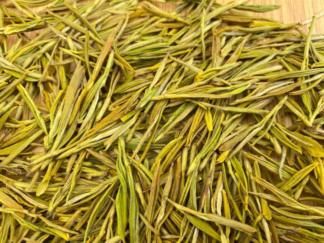 黄金芽属于绿茶类,茶內富含茶多酚,咖啡碱,氨基酸等
