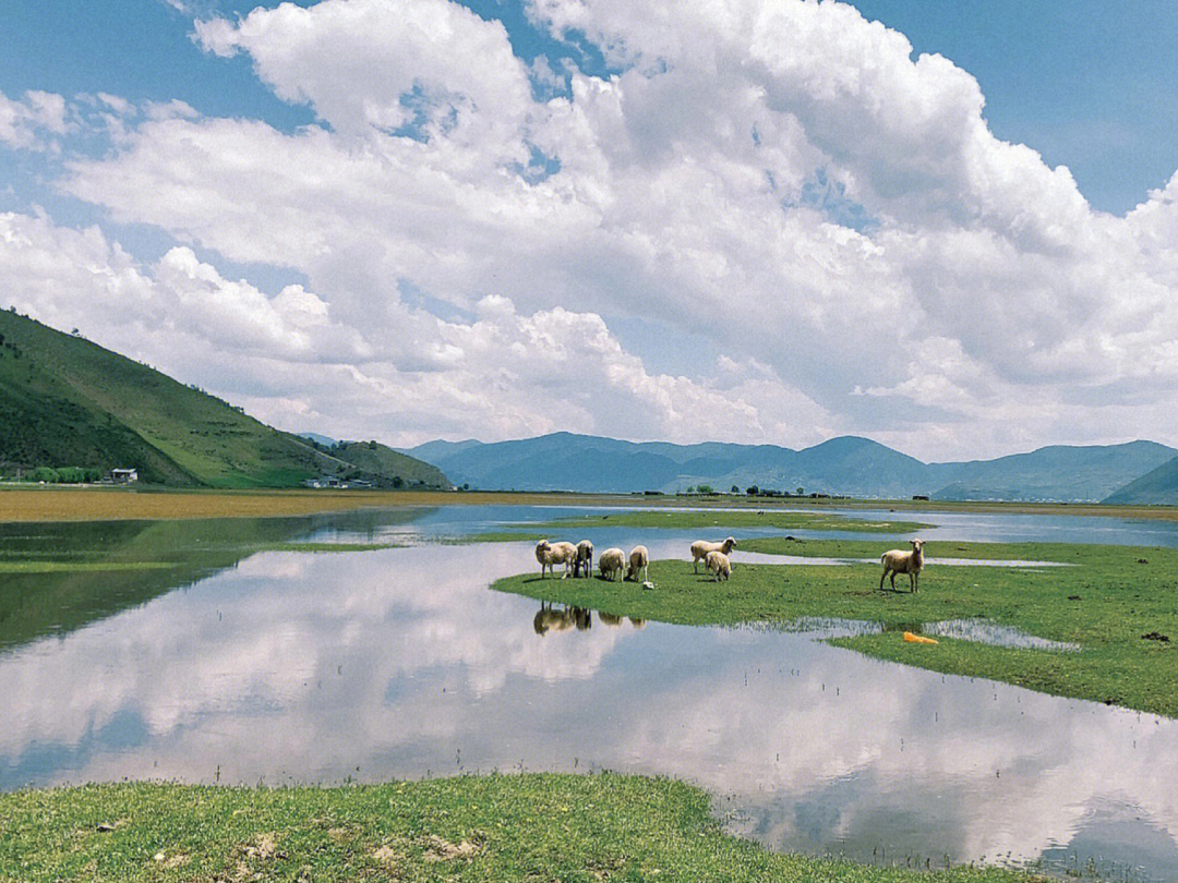 香格里拉草原帕纳海一定要骑马感受