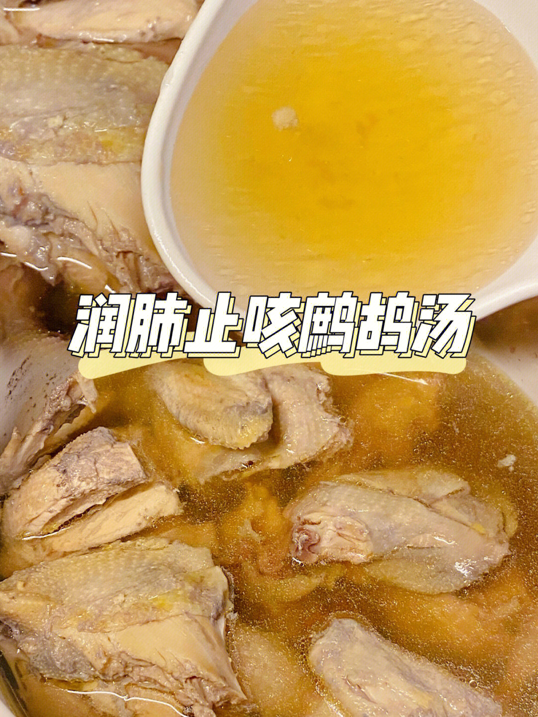 93一鸪顶九鸡这句话中可见鹧鸪的营养价值有多高,鹧鸪肉老少皆宜