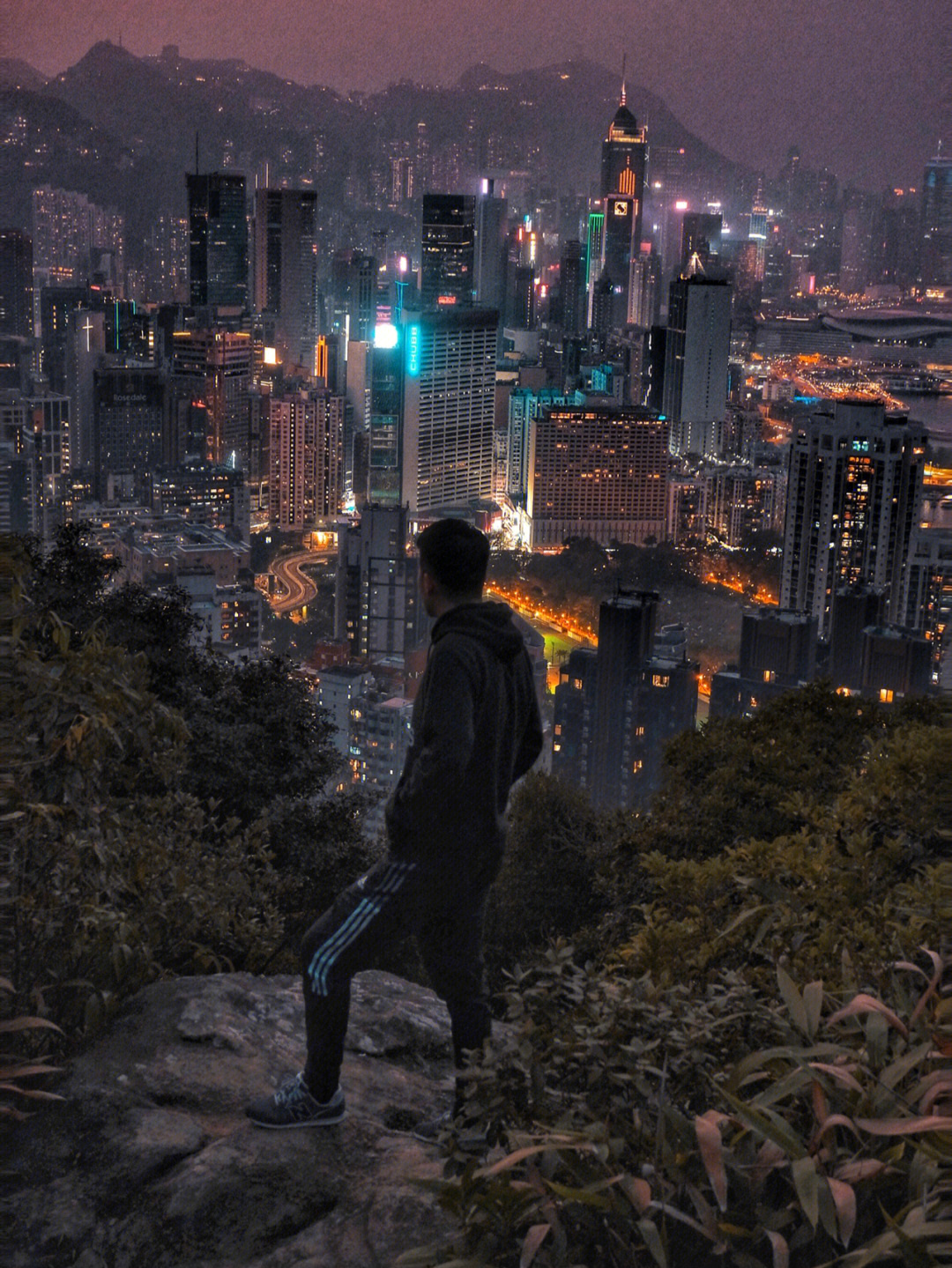 香港奇案之宝马山图片
