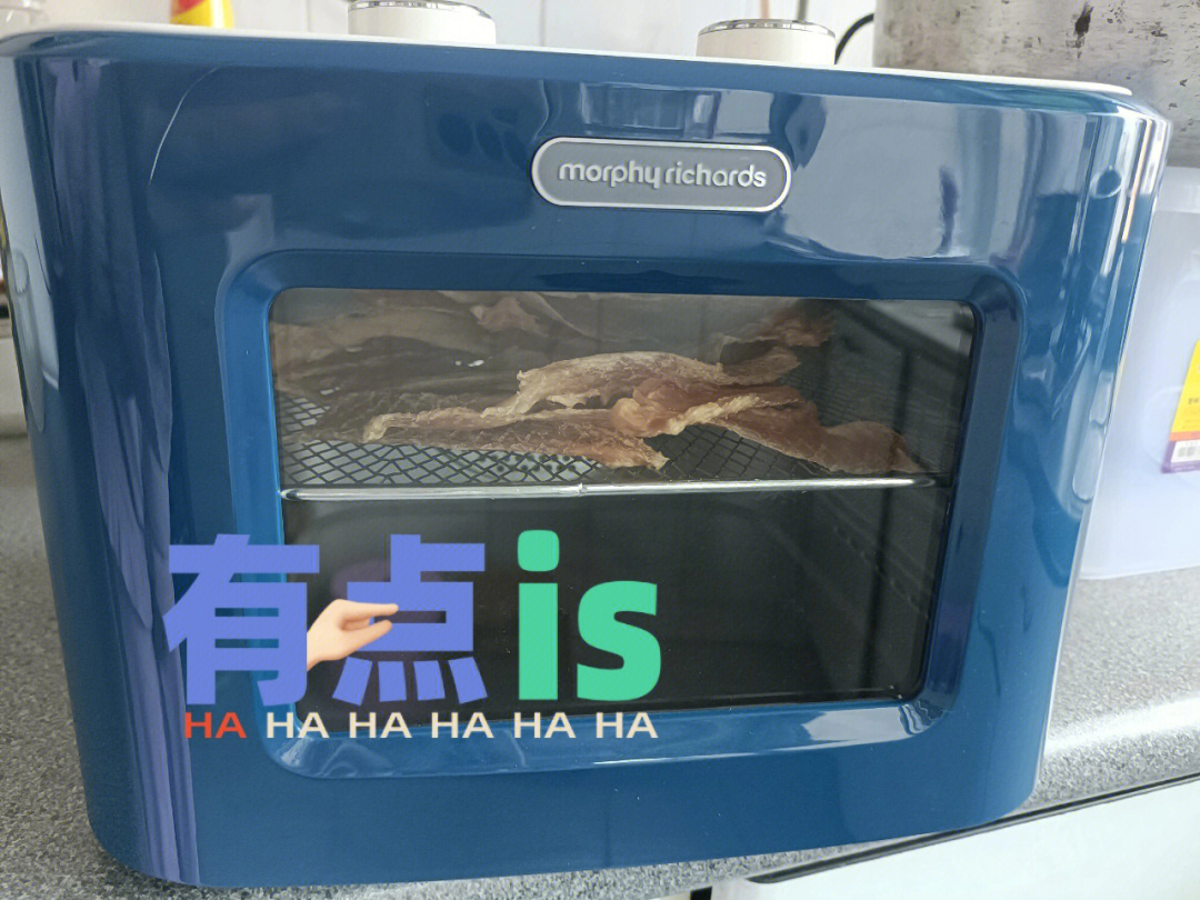摩飞干果机牛肉干食谱图片