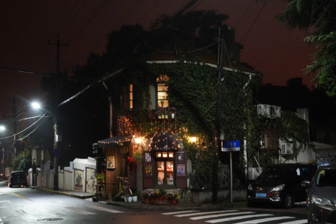 龙山路街景