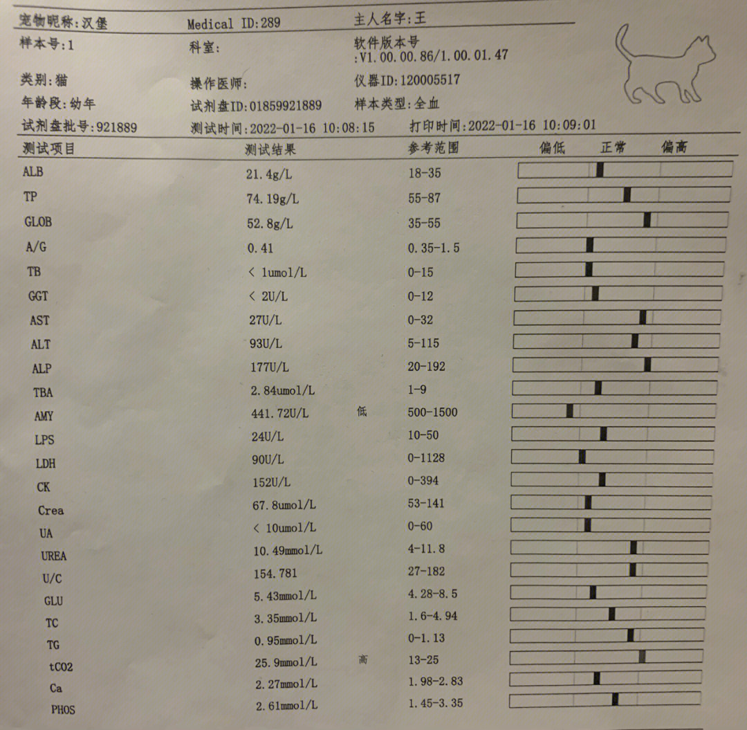 白球比1.42图片