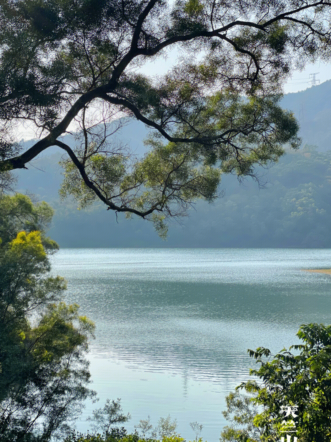 海沧风景图片