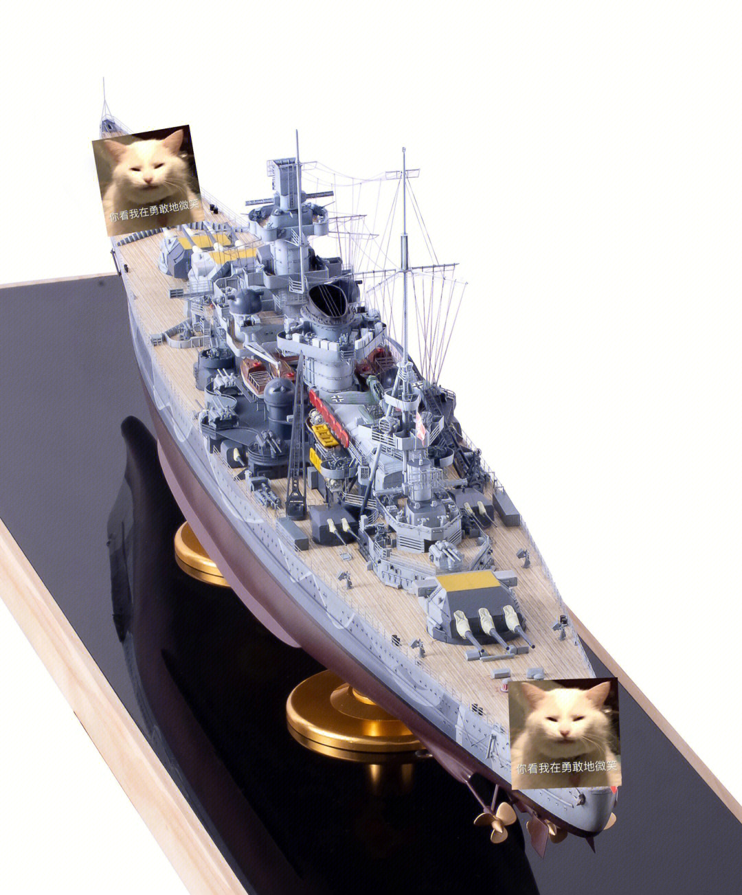 勇敢级战列巡洋舰图片