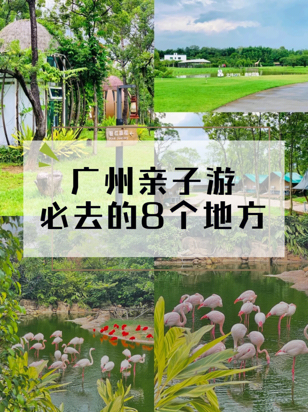 后悔没早点知道广州亲子游必去的8个地方