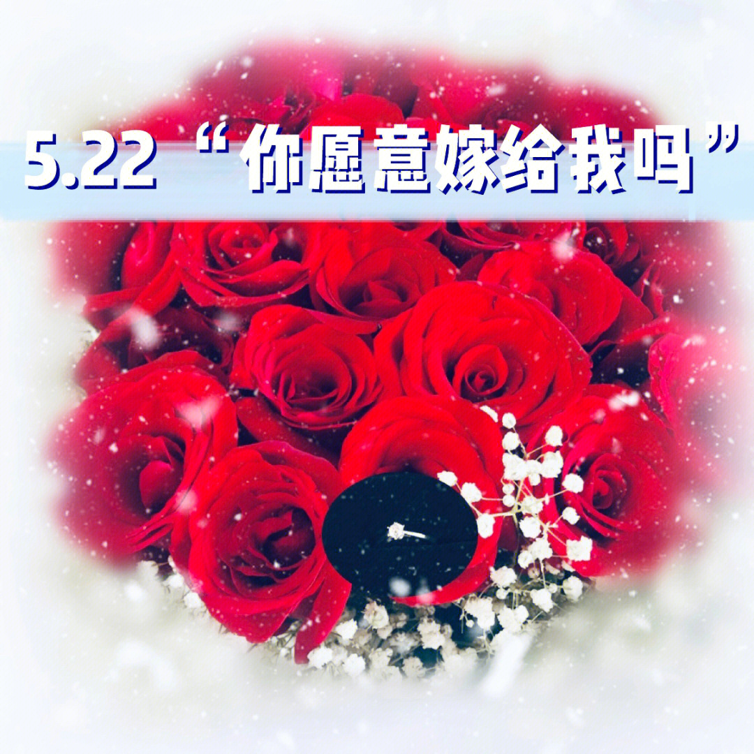 73与你有关,皆是浪漫92"5.22 你愿意嫁给我吗?