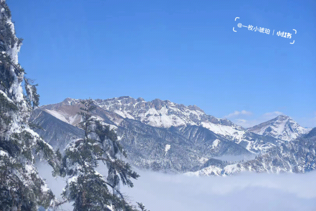 西岭雪山滑雪年卡图片