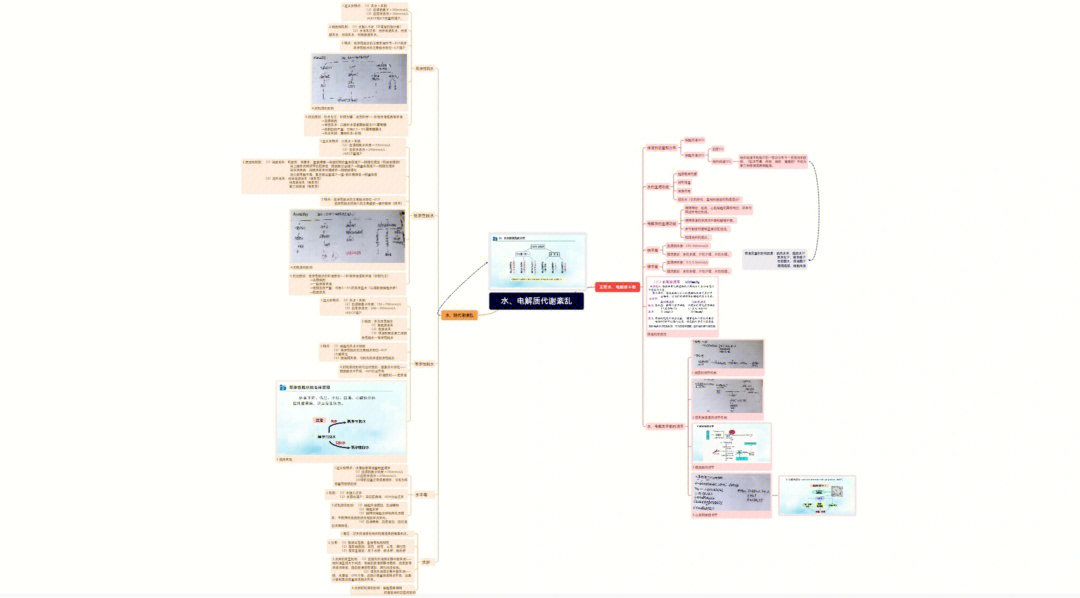 水代谢思维导图图片