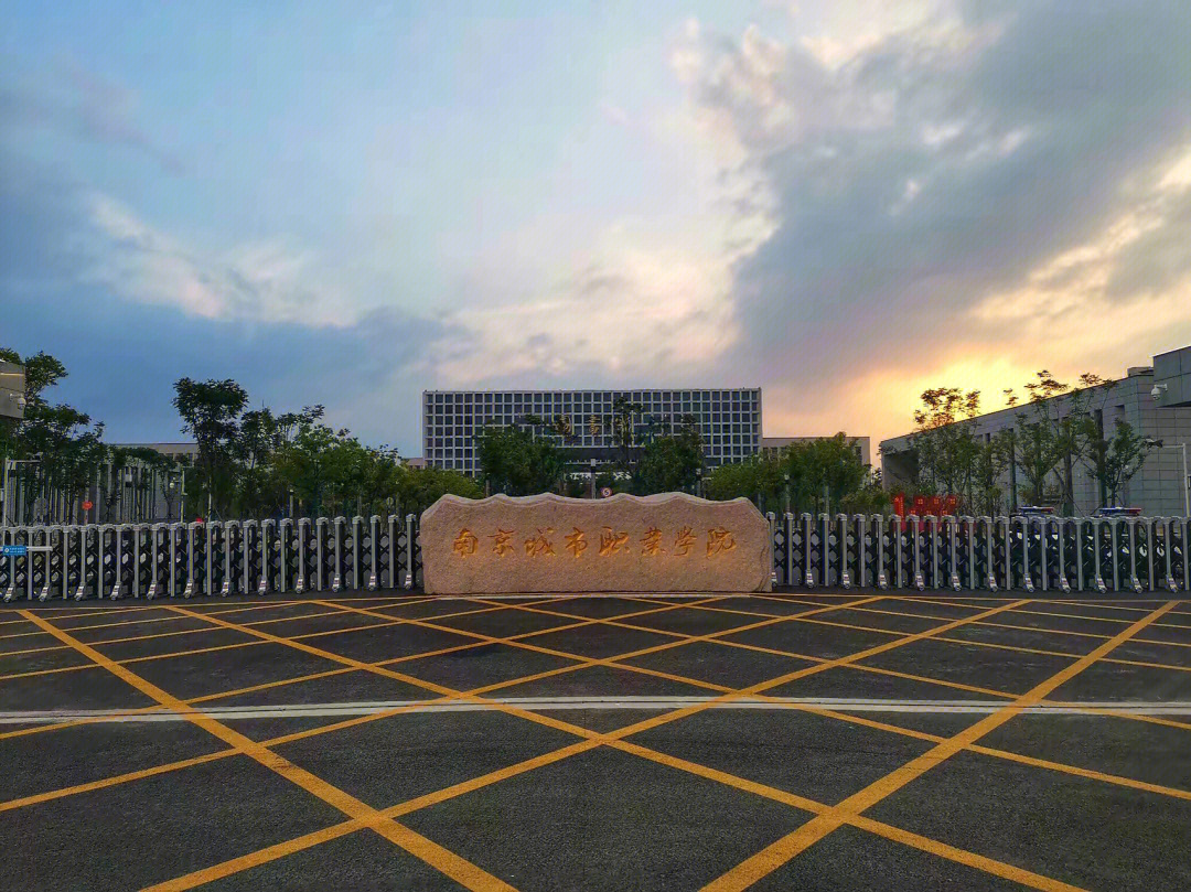 南京城市职业技术学院图片