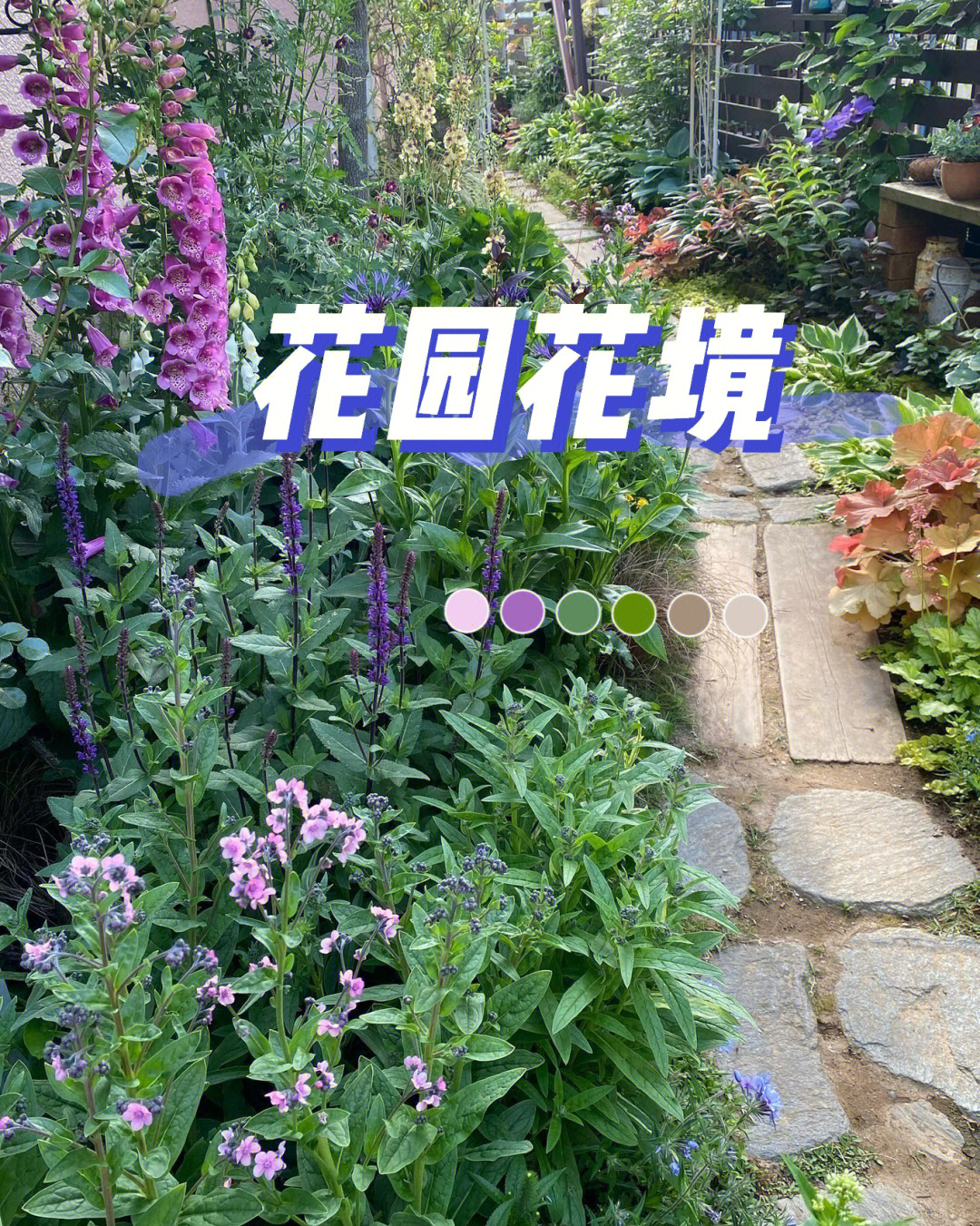 花园花境