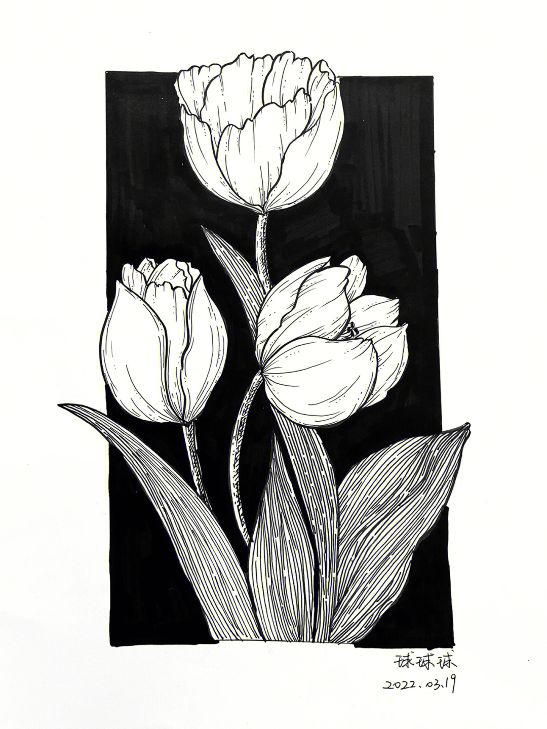 黑白装饰画 简单 花朵图片