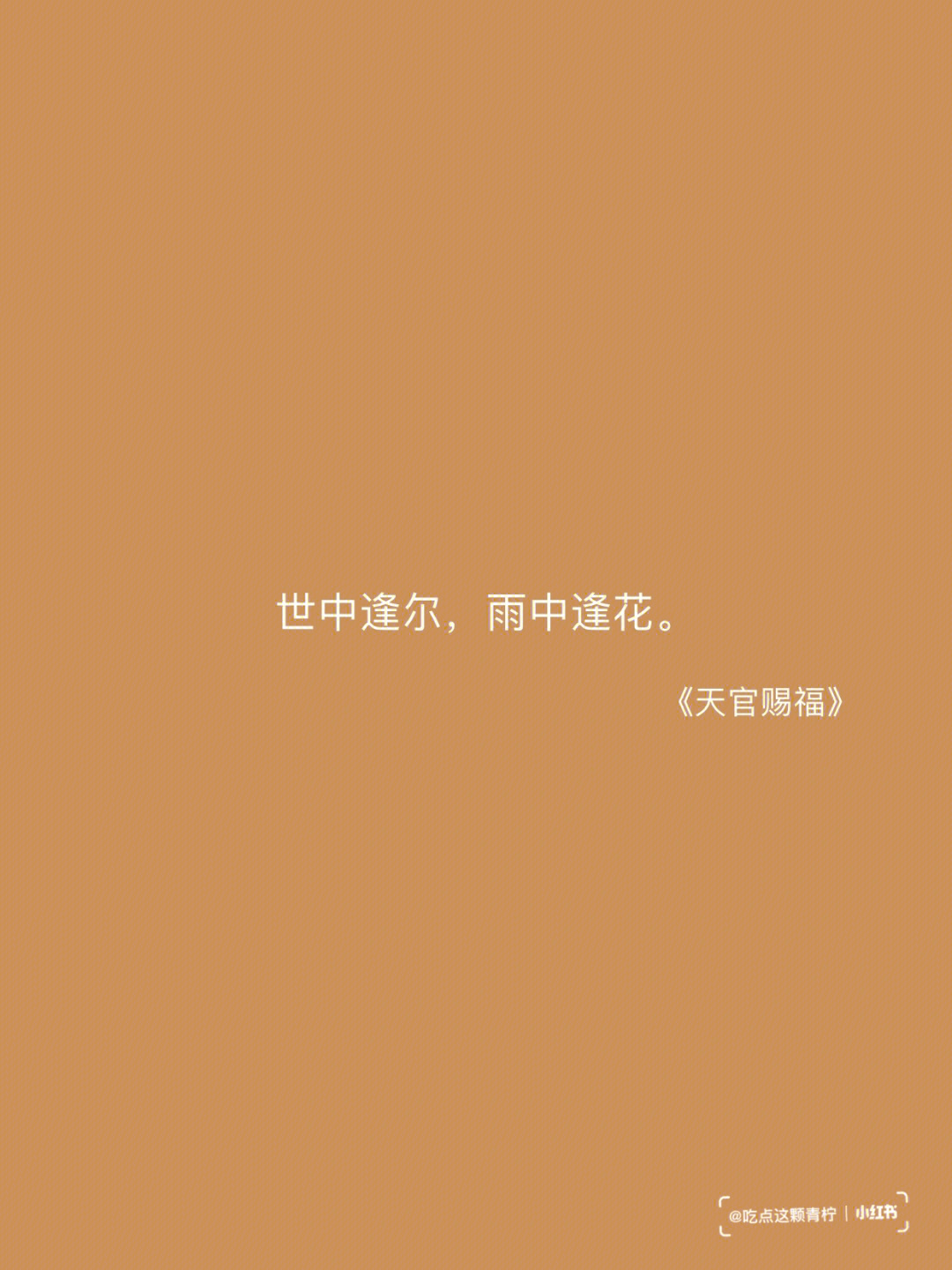 著作经典语录文案|世中逢尔,雨中逢花.