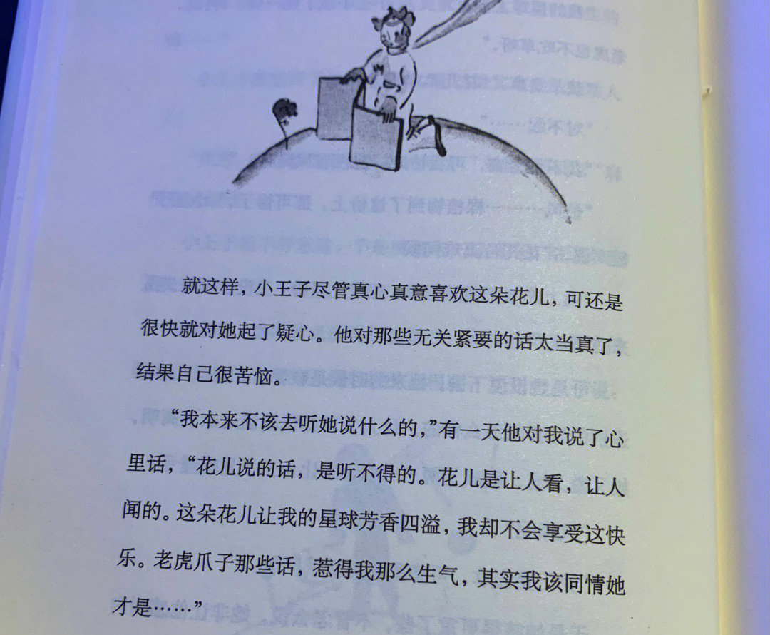 但并不一定丰富多彩真正重要的东西 眼睛是看不见的小王子后来很想念