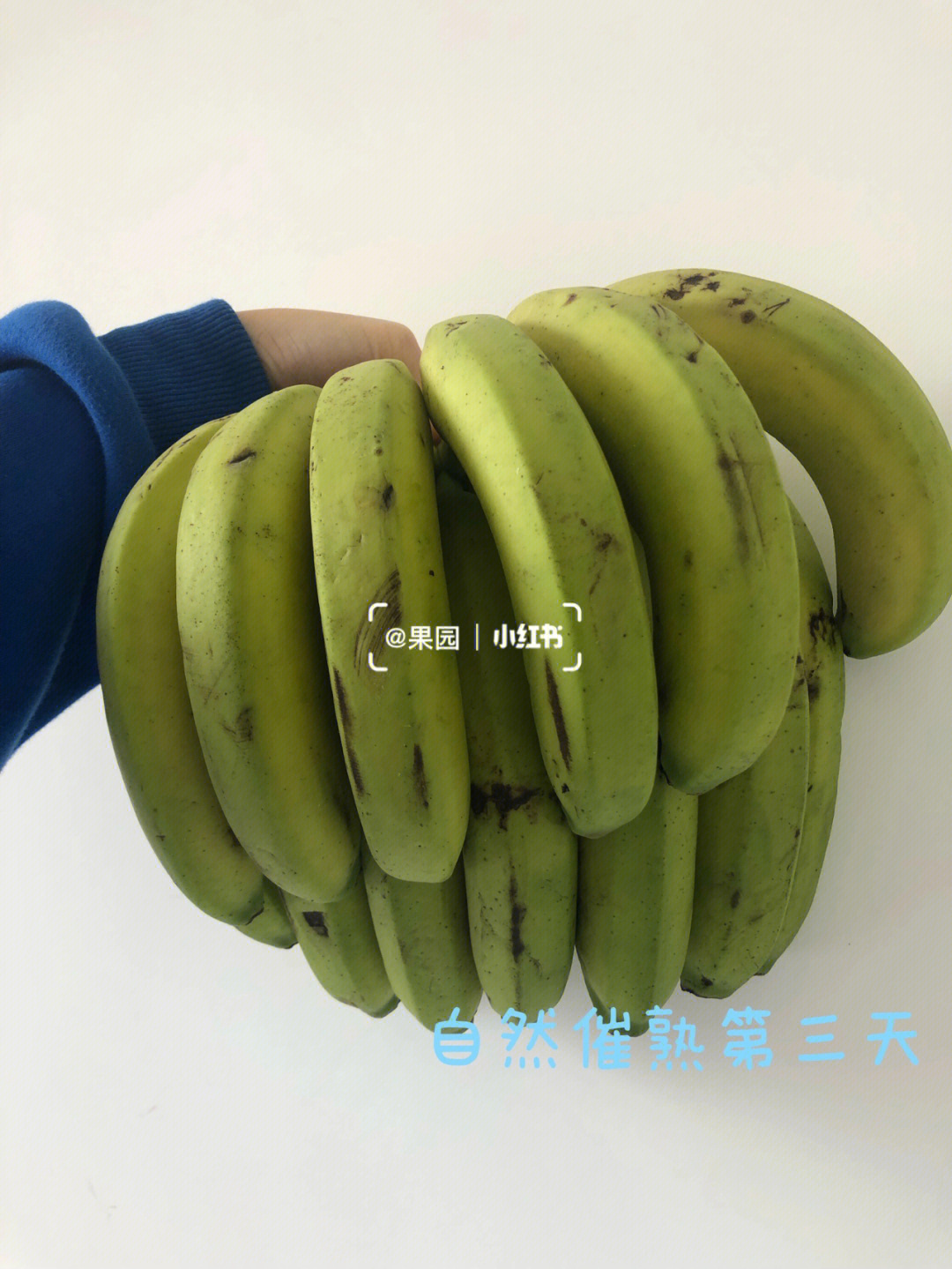 香蕉影视催熟图片