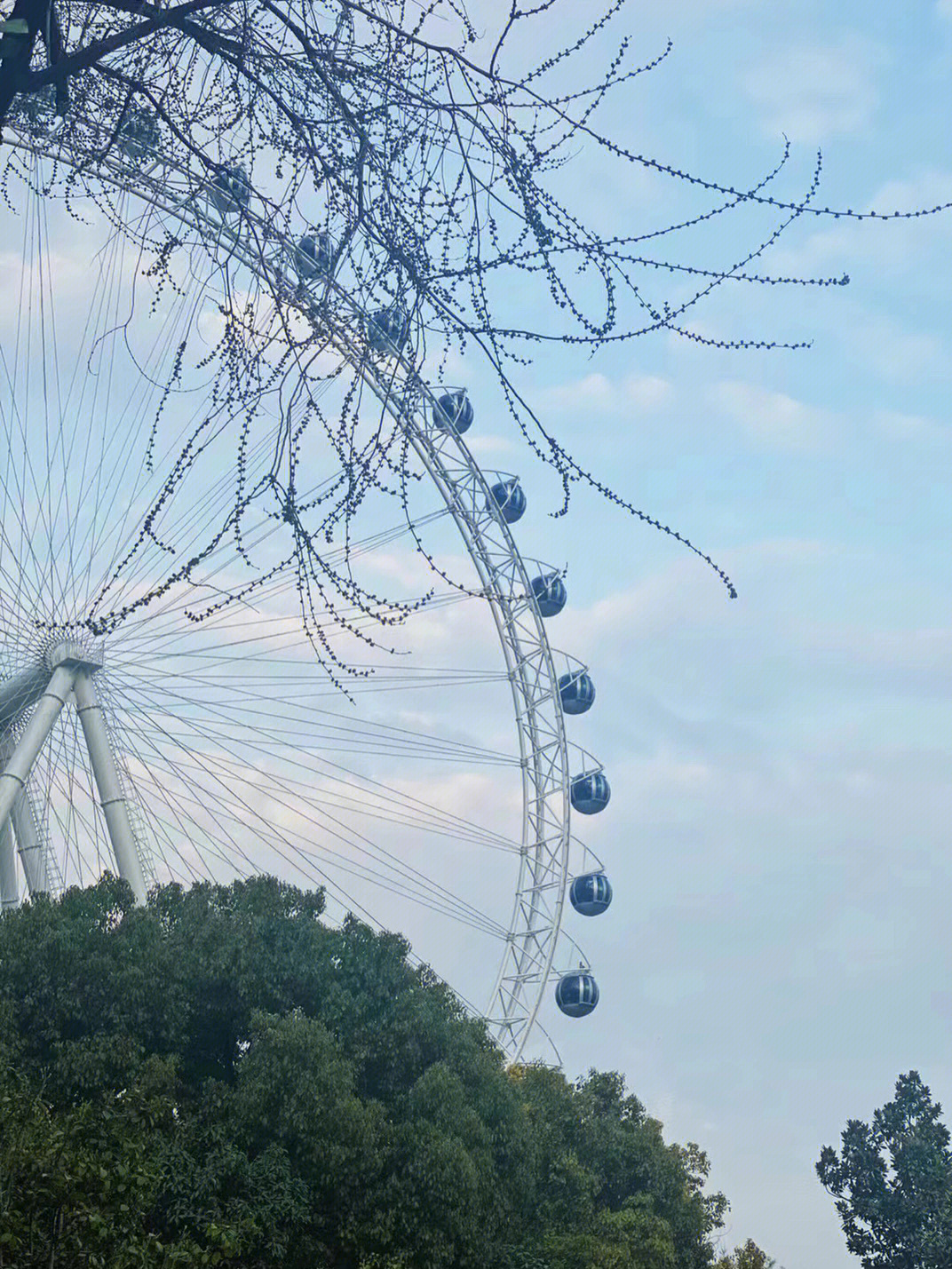 趁着天气好 出来春个游,庐州之眼 会让你发现不一样的大合肥#合肥旅行