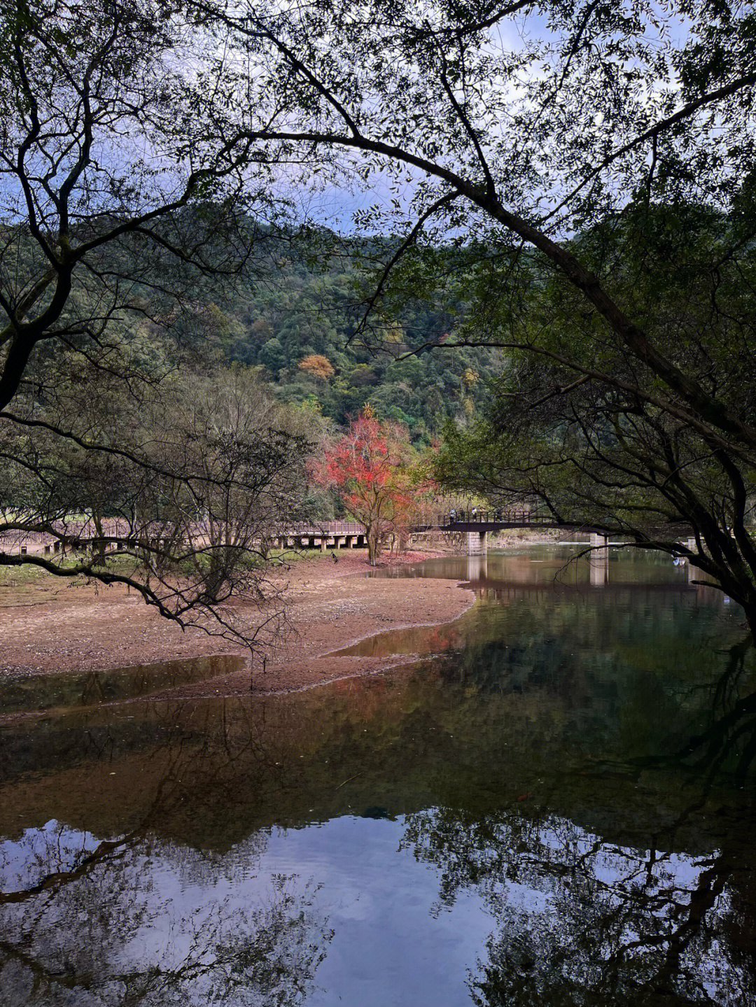 五泄风景区秋天照片图片