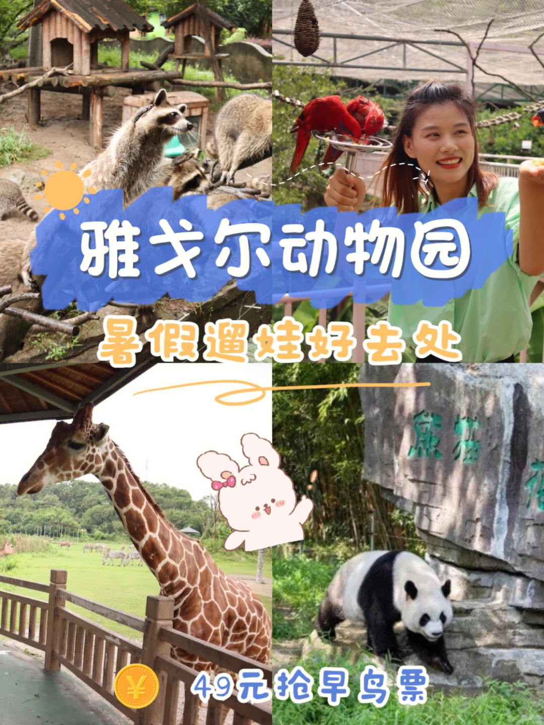 宁波雅戈尔动物园改名图片