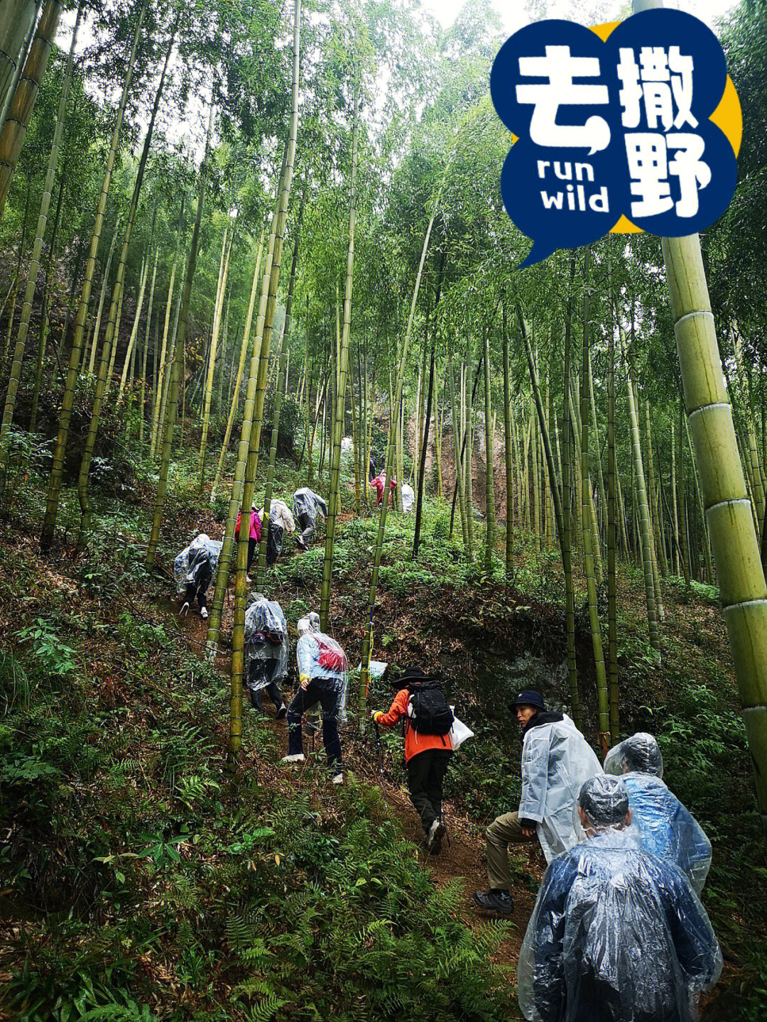 徒步吗湖州莫干山