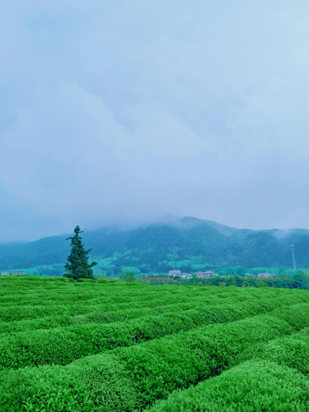 空山新雨后吉他谱图片