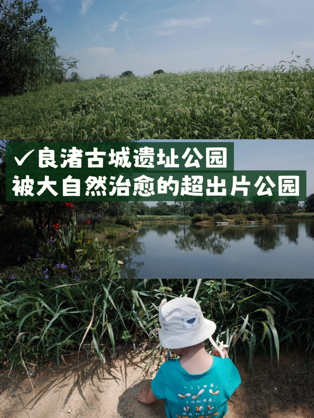 良渚古城遗址公园电话图片