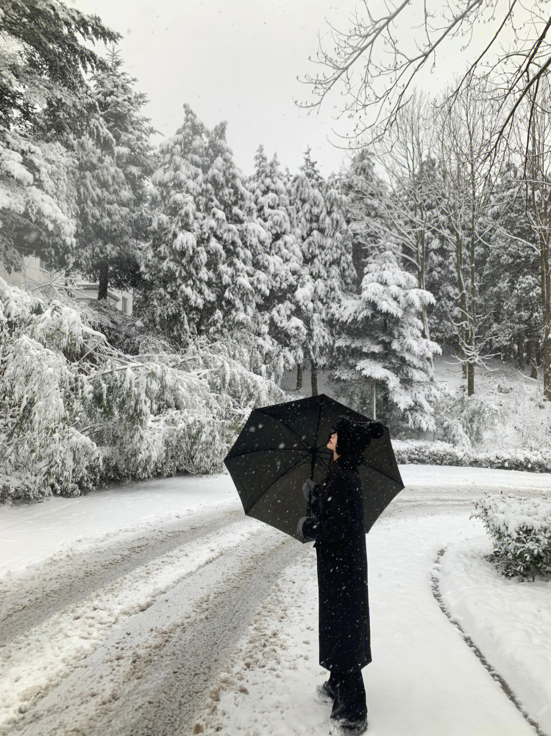 大雪纷飞女孩背景图片图片