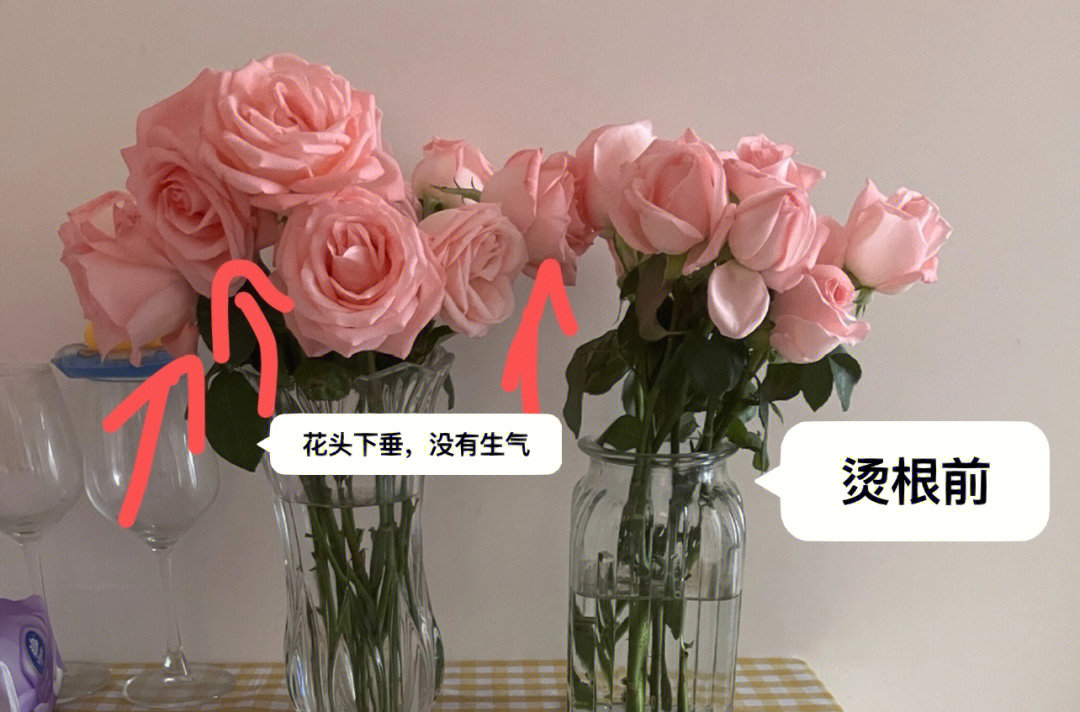 玫瑰花垂头不要扔