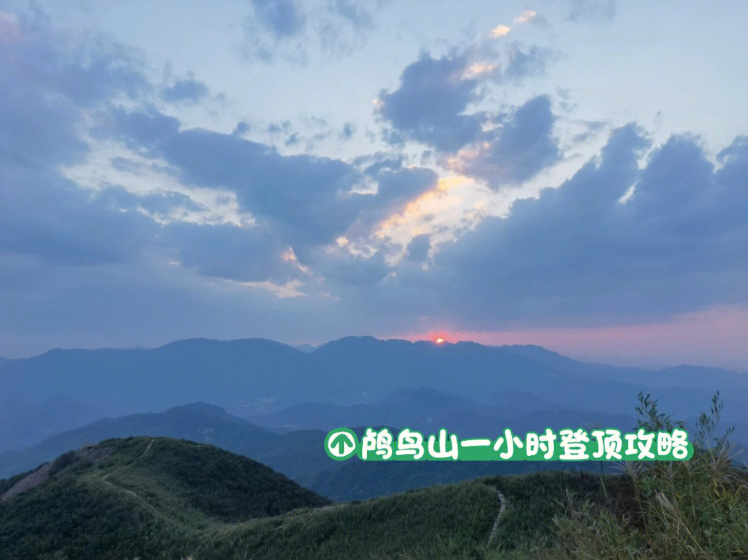 鸬鸟山泗溪村入口图片