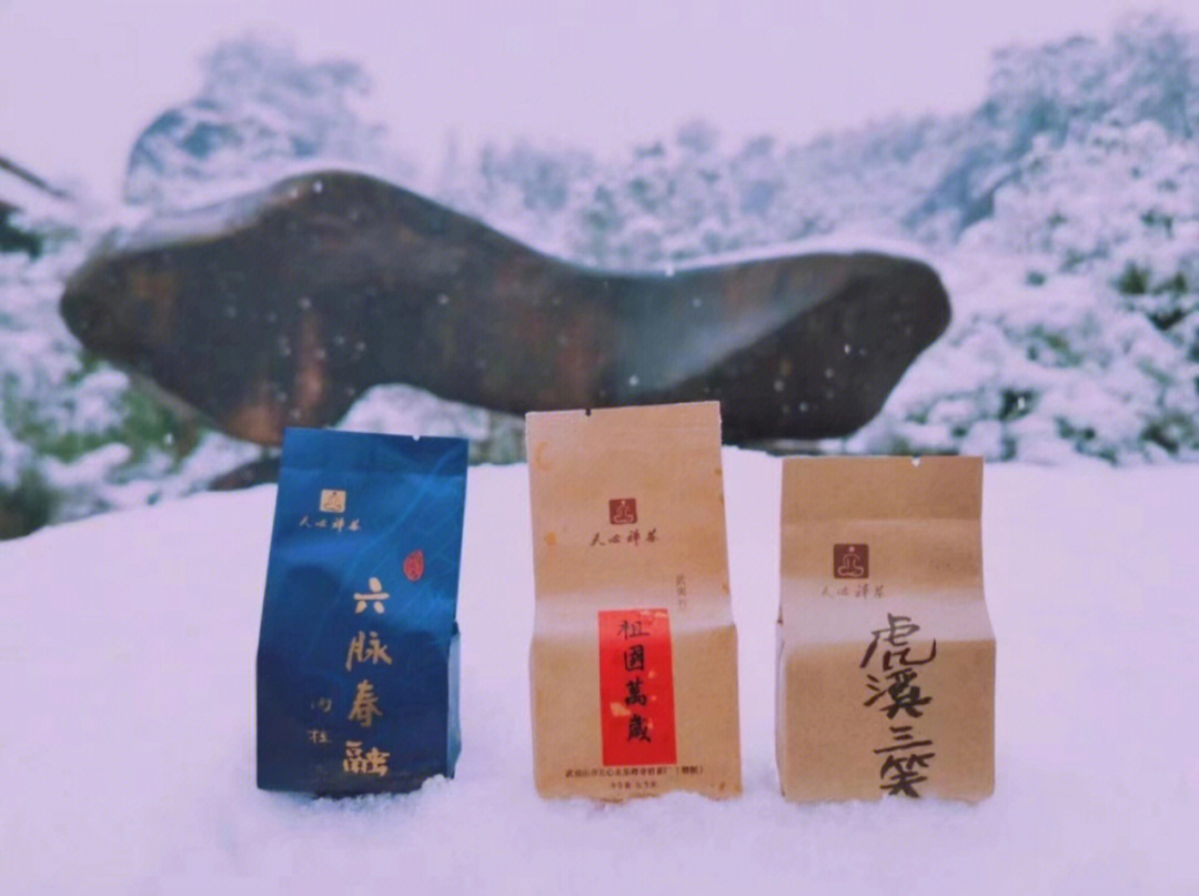 天心禅茶