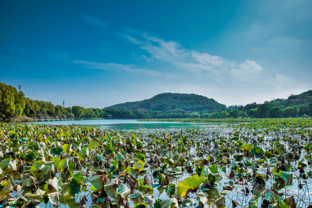 长沙桃子湖图片