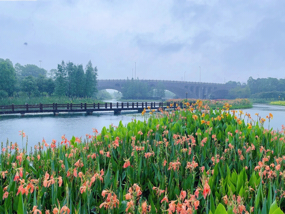 松雅湖花海图片