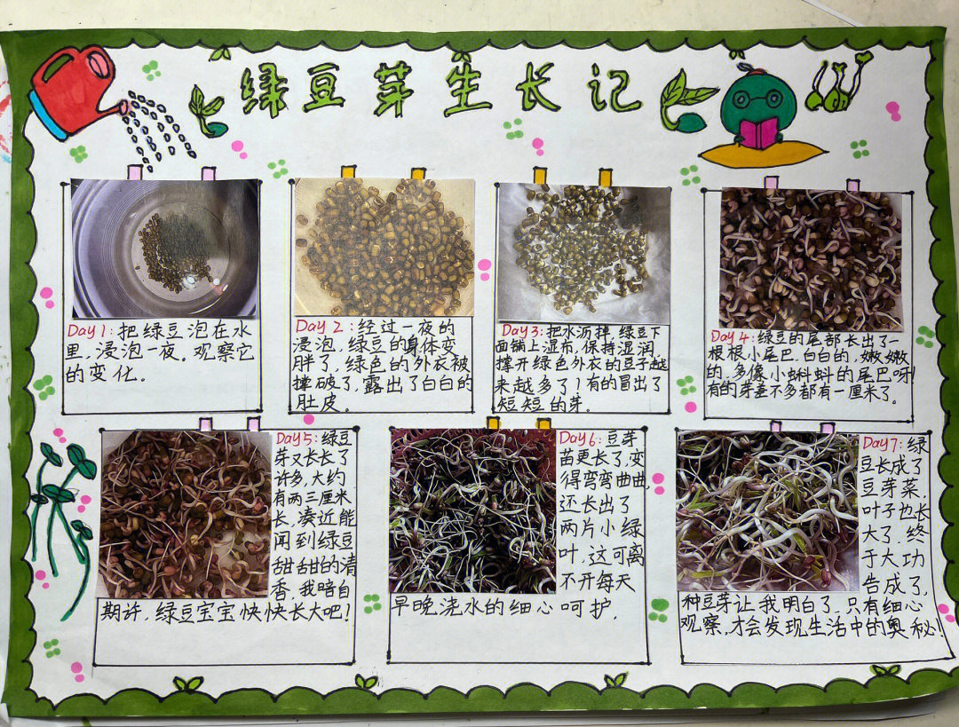 开始我没有遮光,所以图四照片的豆芽是有点发红的.