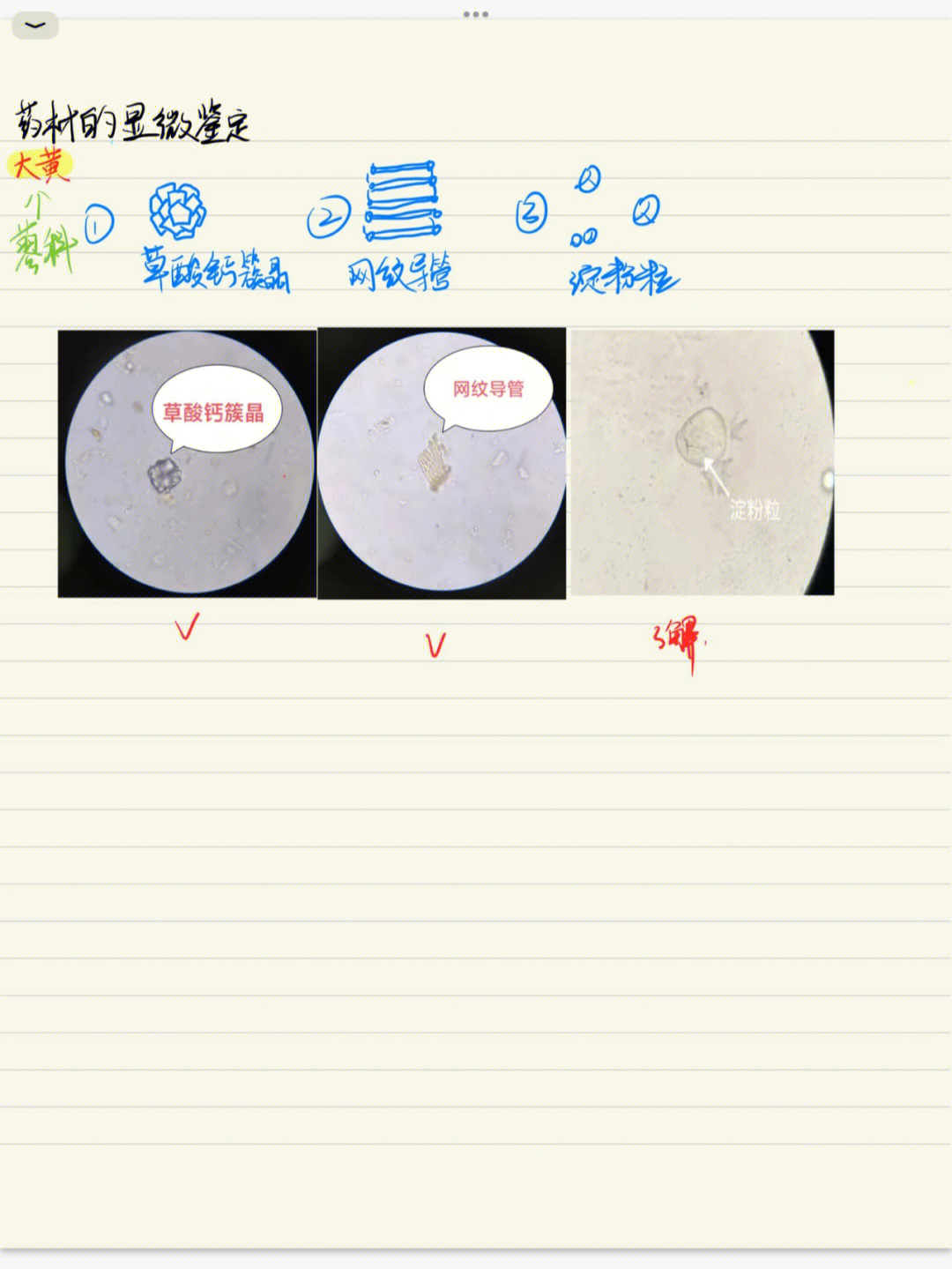 白术菊糖显微特征图图片