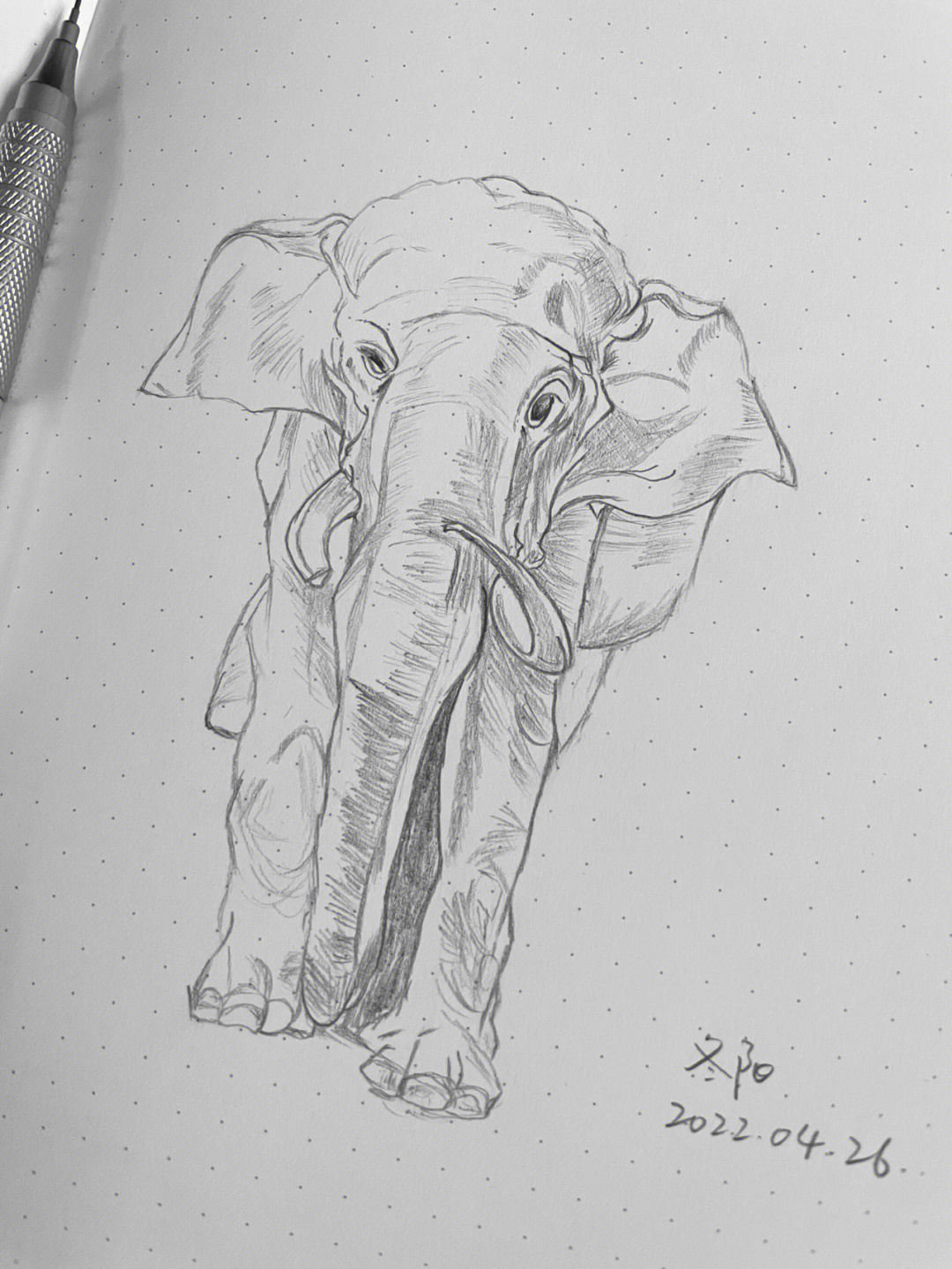 大象的画法 一等奖图片